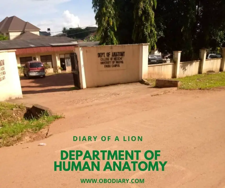 Department of Human Anatomy, UNEC 